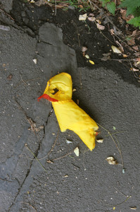 Felix-Liebig Leipzig Karl-Liebknecht-Straße Spatz