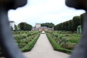 FelixLiebig Darmstadt Garten