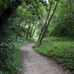 FelixLiebig Darmstadt Waldweg