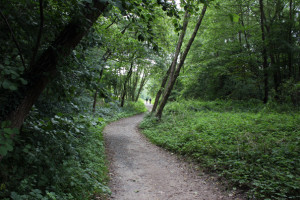 FelixLiebig Darmstadt Waldweg